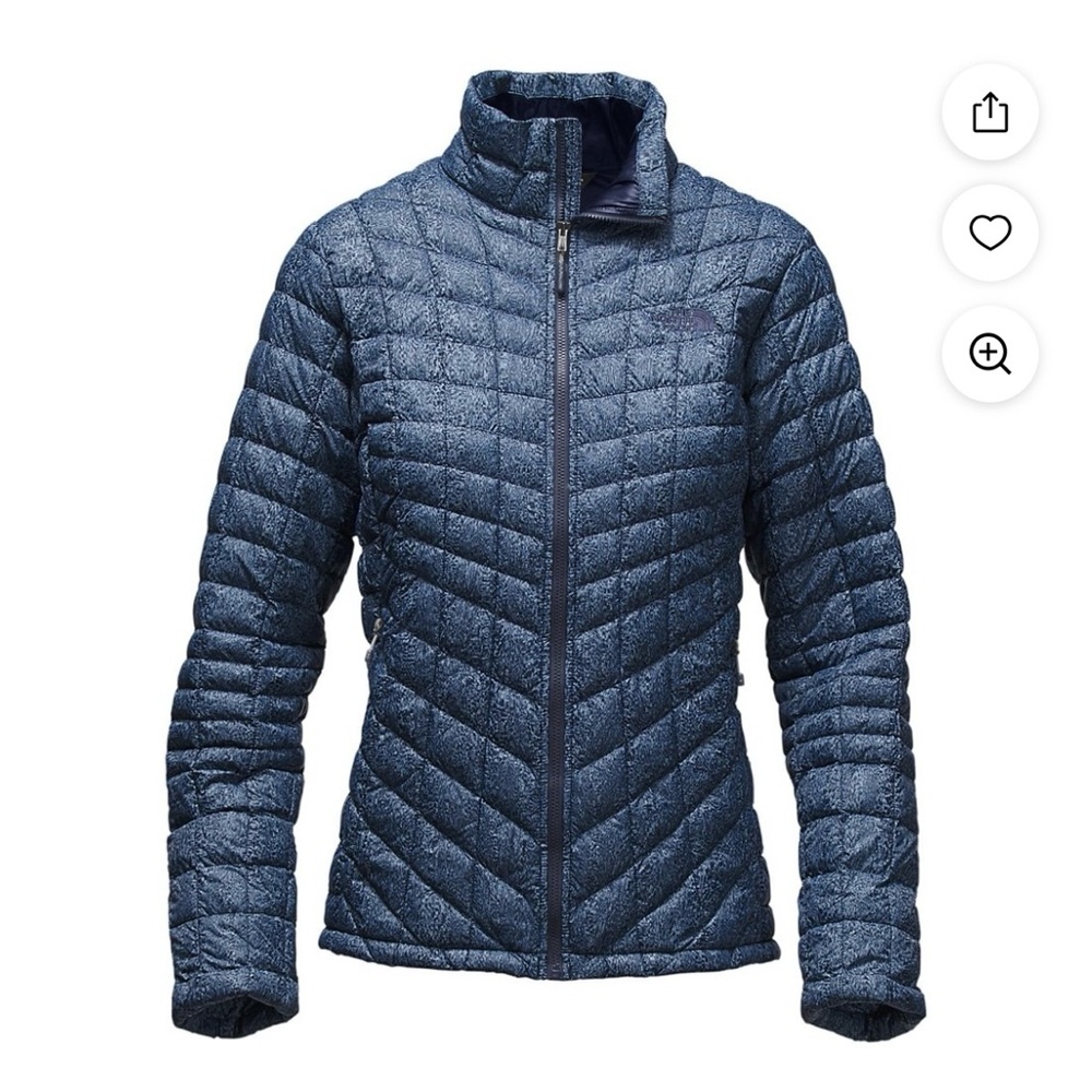 The North Face Blue Puffer Coat with Stand-Up Collar